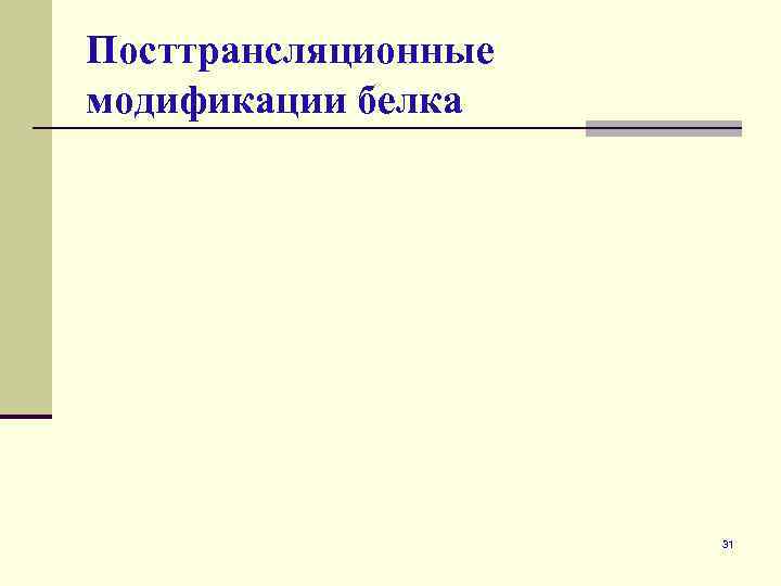 Посттрансляционные модификации белка 31 