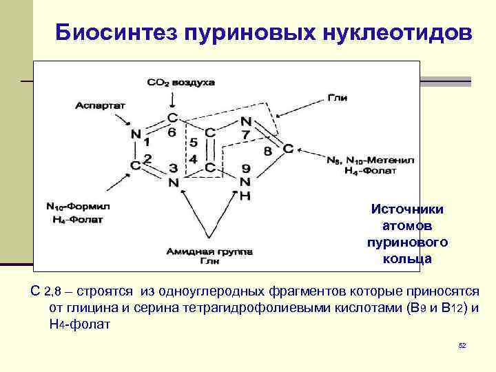 Синтез пуриновых оснований схема