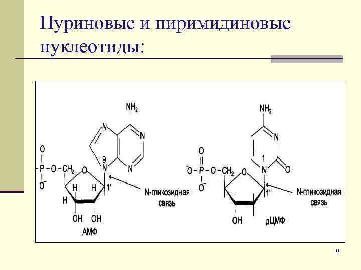 Молекулярная масса нуклеотида