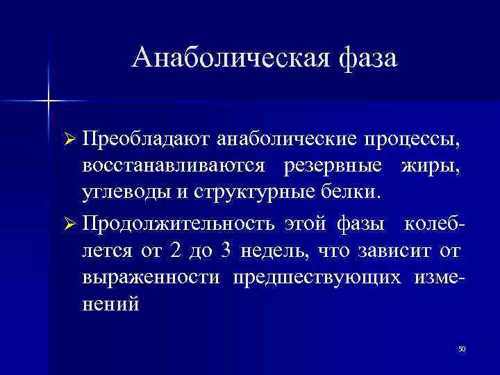 Анаболическая фаза Ø Преобладают анаболические процессы, восстанавливаются резервные жиры, углеводы и структурные белки. Ø