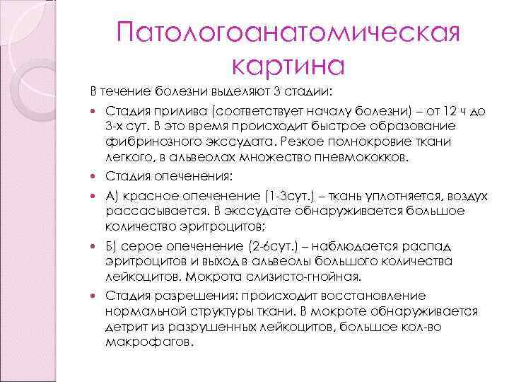 Патологоанатомическая картина В течение болезни выделяют 3 стадии: Стадия прилива (соответствует началу болезни) –