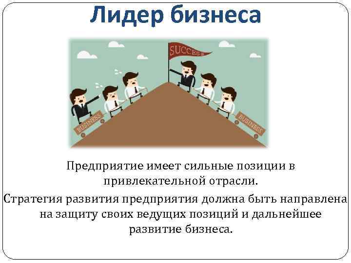 Лидер бизнеса Предприятие имеет сильные позиции в привлекательной отрасли. Стратегия развития предприятия должна быть