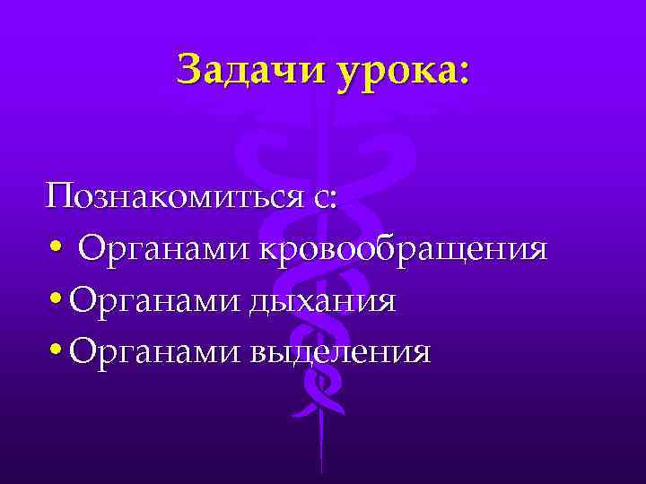 Задачи урока: Познакомиться с: • Органами кровообращения • Органами дыхания • Органами выделения 