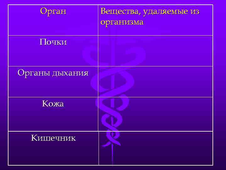 Орган Почки Органы дыхания Кожа Кишечник Вещества, удаляемые из организма 