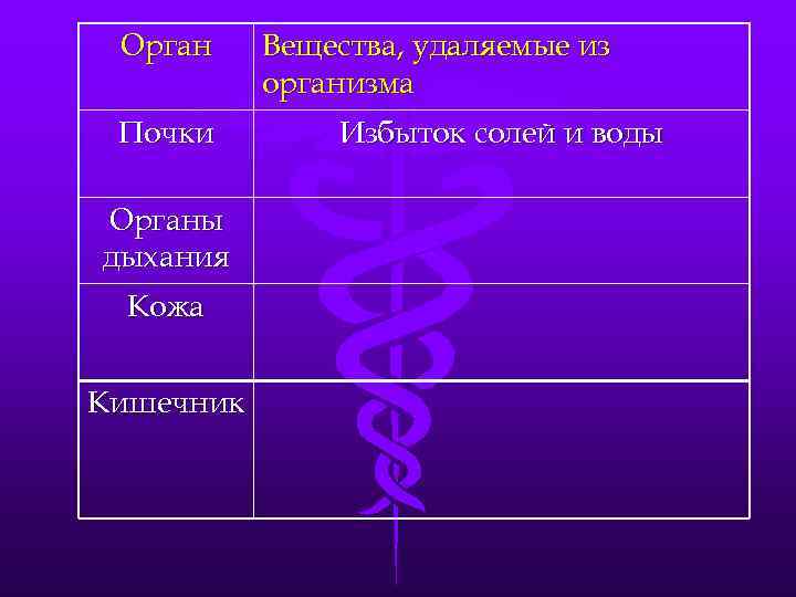 Орган Почки Органы дыхания Кожа Кишечник Вещества, удаляемые из организма Избыток солей и воды