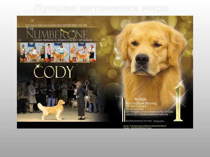 Лучшие питомники мира 