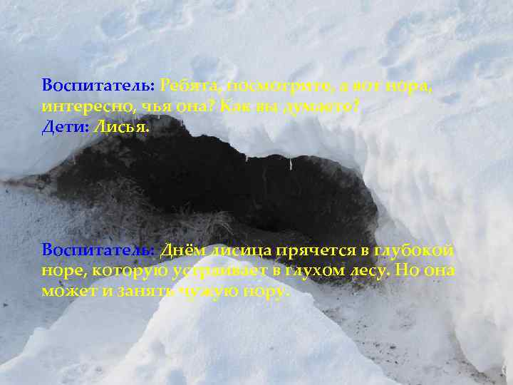 Воспитатель: Ребята, посмотрите, а вот нора, интересно, чья она? Как вы думаете? Дети: Лисья.