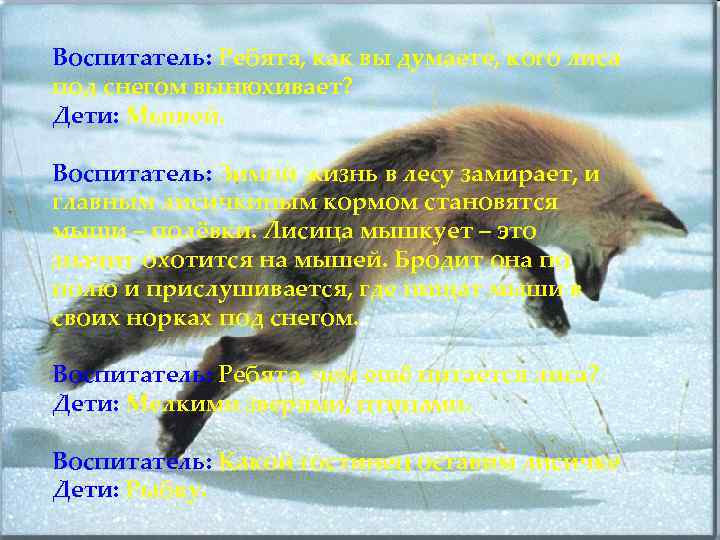 Воспитатель: Ребята, как вы думаете, кого лиса под снегом вынюхивает? Дети: Мышей. Воспитатель: Зимой