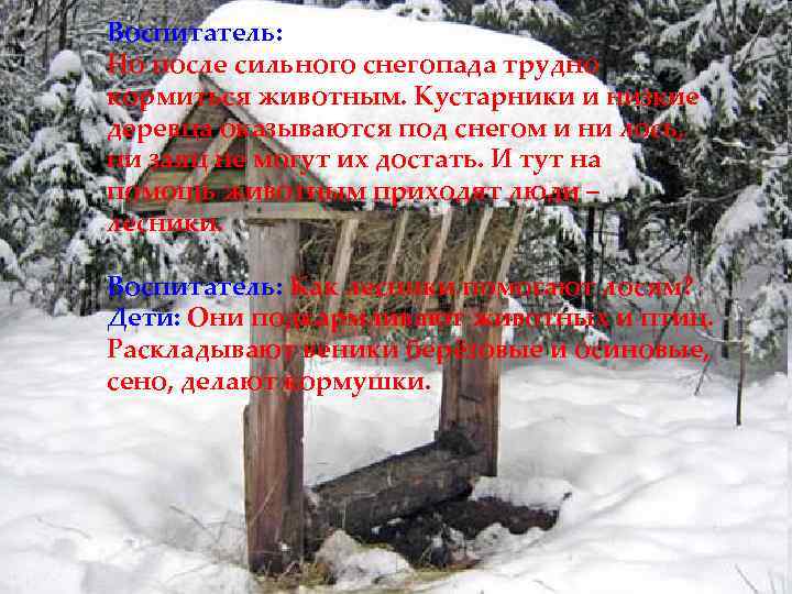 Воспитатель: Но после сильного снегопада трудно кормиться животным. Кустарники и низкие деревца оказываются под