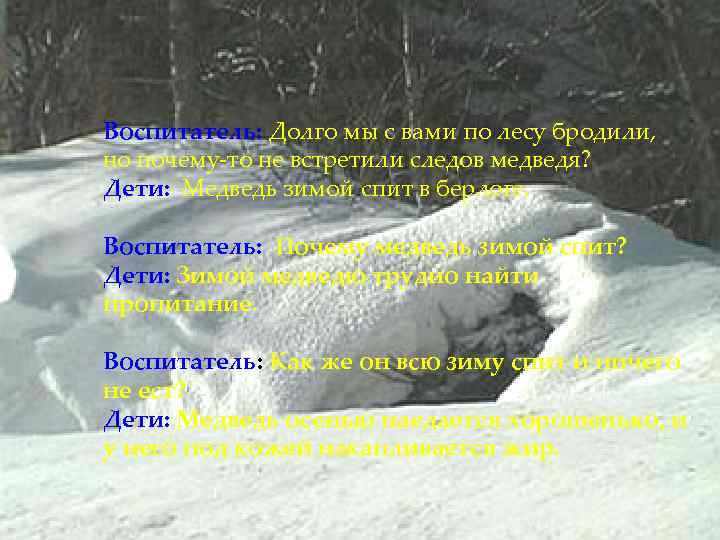 Воспитатель: Долго мы с вами по лесу бродили, но почему-то не встретили следов медведя?
