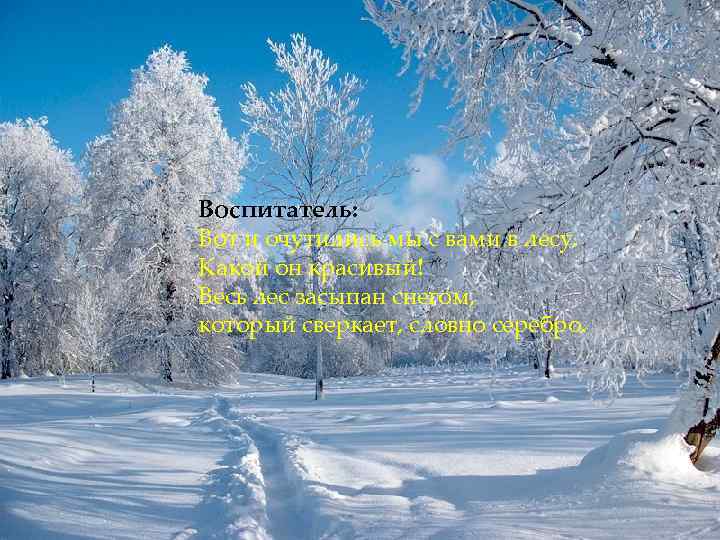 Воспитатель: Вот и очутились мы с вами в лесу. Какой он красивый! Весь лес