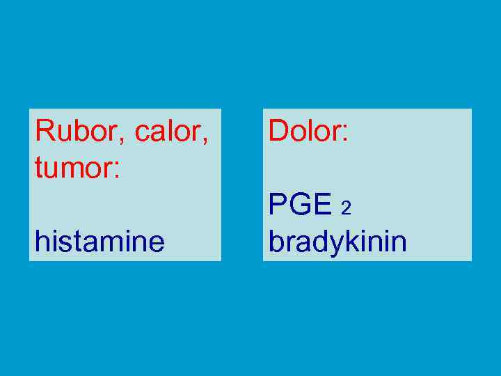 Rubor, calor, tumor: histamine Dolor: PGE 2 bradykinin 