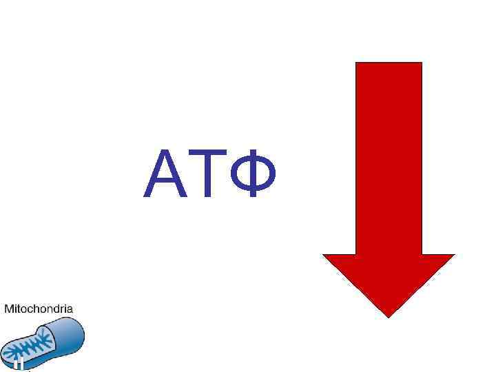 АТФ 