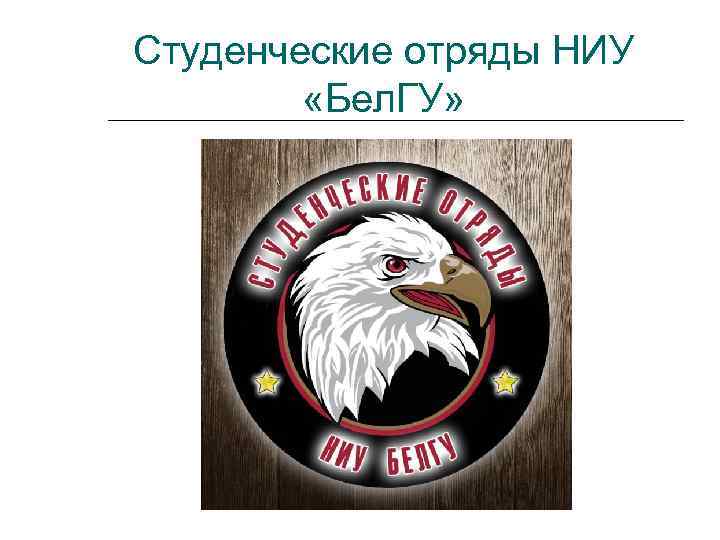 Студенческие отряды НИУ «Бел. ГУ» 
