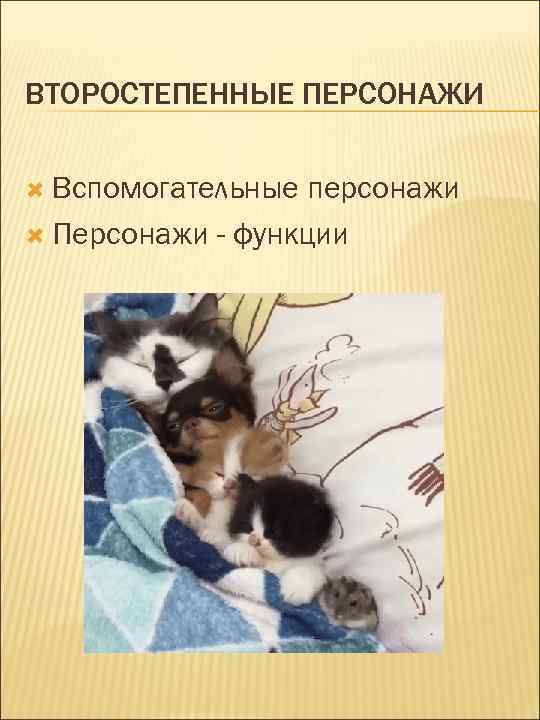 ВТОРОСТЕПЕННЫЕ ПЕРСОНАЖИ Вспомогательные персонажи Персонажи - функции 