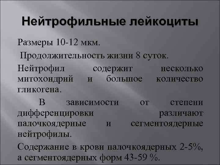 Нейтрофильные лейкоциты Размеры 10 -12 мкм. Продолжительность жизни 8 суток. Нейтрофил содержит несколько митохондрий