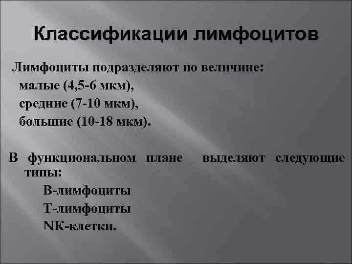 Классификации лимфоцитов Лимфоциты подразделяют по величине: малые (4, 5 -6 мкм), средние (7 -10