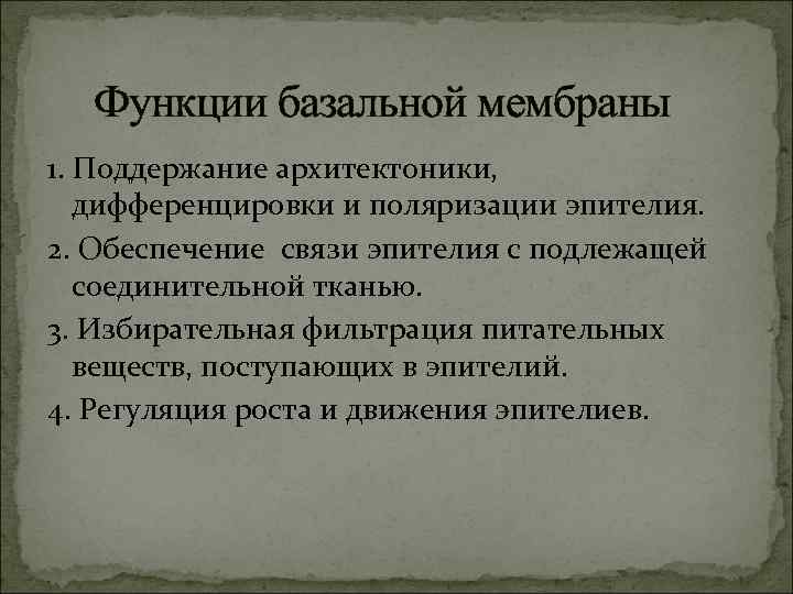 Функции базальной мембраны 1. Поддержание архитектоники, дифференцировки и поляризации эпителия. 2. Обеспечение связи эпителия