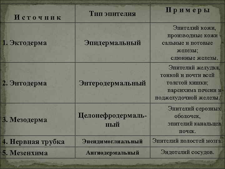 Источник 1. Эктодерма 2. Энтодерма 3. Мезодерма 4. Нервная трубка 5. Мезенхима Тип эпителия