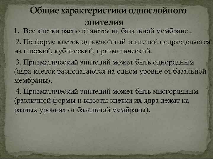 Общие характеристики однослойного эпителия 1. Все клетки располагаются на базальной мембране. 2. По форме