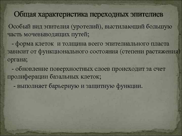 Общая характеристика переходных эпителиев Особый вид эпителия (уротелий), выстилающий большую часть мочевыводящих путей; -