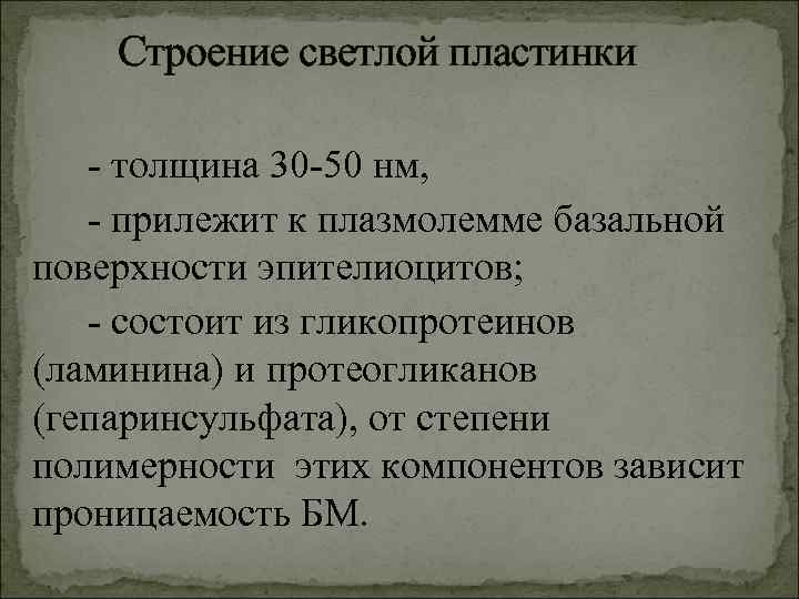  Строение светлой пластинки - толщина 30 -50 нм, - прилежит к плазмолемме базальной