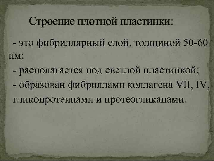 Строение плотной пластинки: - это фибриллярный слой, толщиной 50 -60 нм; - располагается под