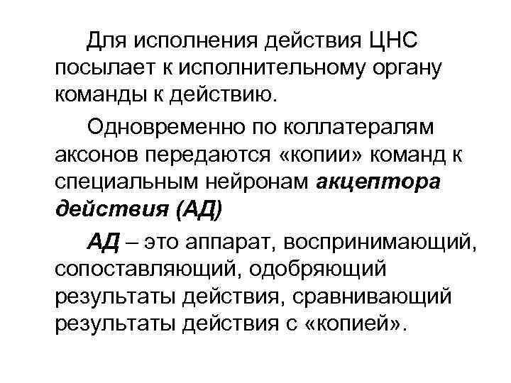 Для исполнения действия ЦНС посылает к исполнительному органу команды к действию. Одновременно по коллатералям