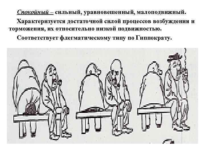 Спокойный – сильный, уравновешенный, малоподвижный. Характеризуется достаточной силой процессов возбуждения и торможения, их относительно