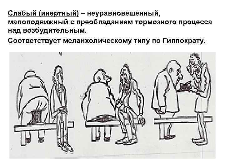 Слабый (инертный) – неуравновешенный, малоподвижный с преобладанием тормозного процесса над возбудительным. Соответствует меланхолическому типу