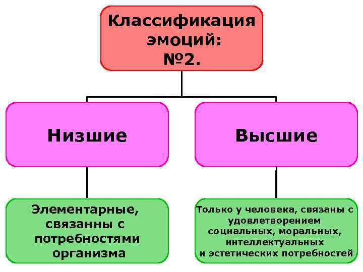 Классификация эмоций: № 2. Низшие Высшие Элементарные, связанны с потребностями организма Только у человека,