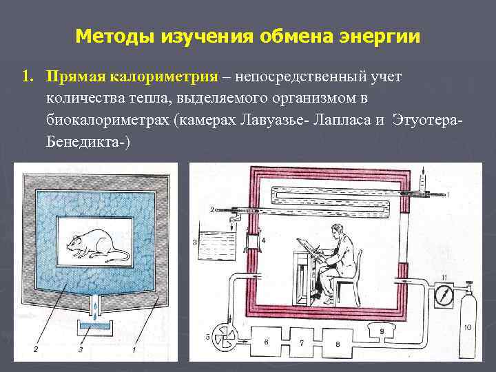 Методы изучения обмена энергии 1. Прямая калориметрия – непосредственный учет количества тепла, выделяемого организмом