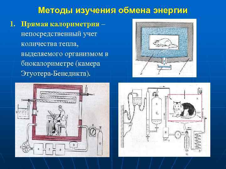Методы изучения обмена энергии 1. Прямая калориметрия – непосредственный учет количества тепла, выделяемого организмом