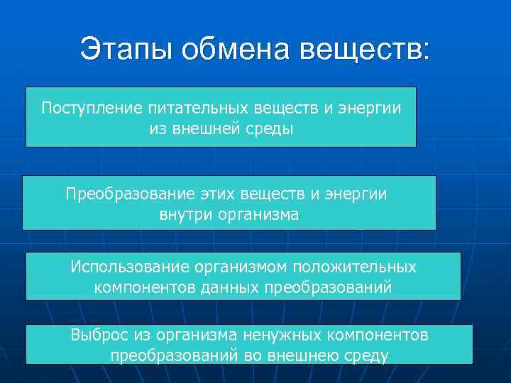 Этапы обмена веществ: Поступление питательных веществ и энергии из внешней среды Преобразование этих веществ
