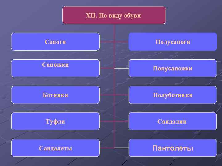 XII. По виду обуви Сапоги Сапожки Полусапоги Полусапожки Ботинки Полуботинки Туфли Сандалии Сандалеты Пантолеты