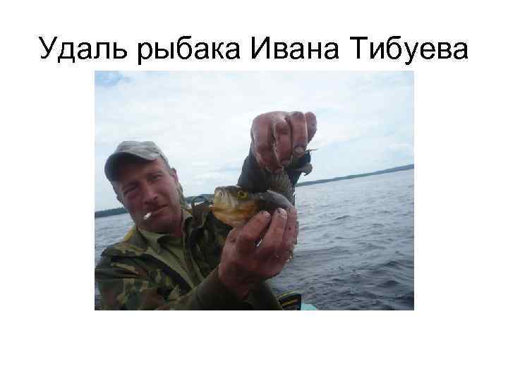 Удаль рыбака Ивана Тибуева 