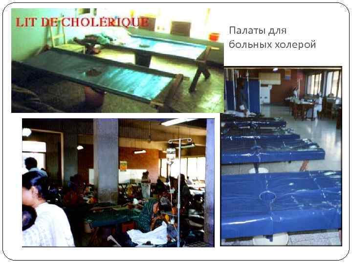 Палаты для больных холерой 