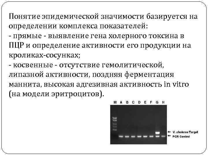 Понятие эпидемической значимости базируется на определении комплекса показателей: - прямые - выявление гена холерного