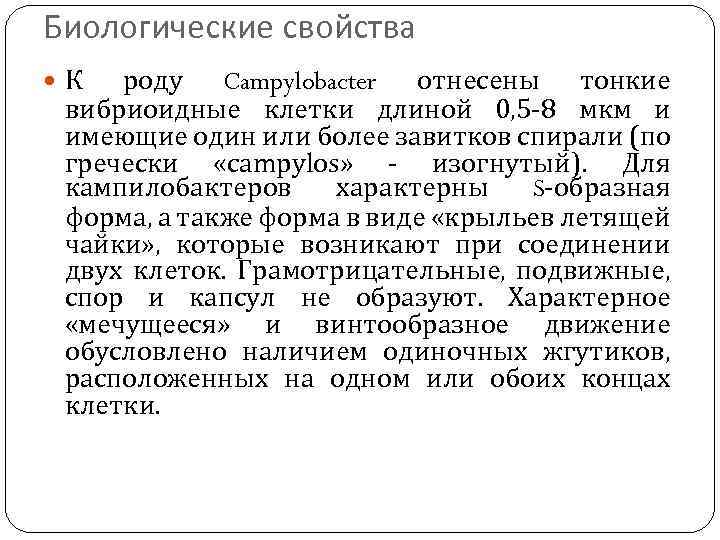 Биологические свойства К роду Campylobacter отнесены тонкие вибриоидные клетки длиной 0, 5 -8 мкм