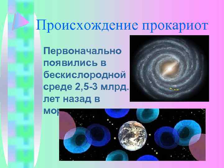 Происхождение прокариот Первоначально появились в бескислородной среде 2, 5 -3 млрд. лет назад в