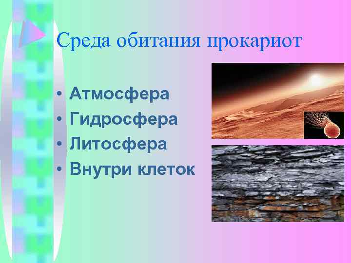 Среда обитания прокариот • • Атмосфера Гидросфера Литосфера Внутри клеток 