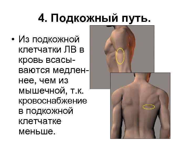 4. Подкожный путь. • Из подкожной клетчатки ЛВ в кровь всасываются медленнее, чем из