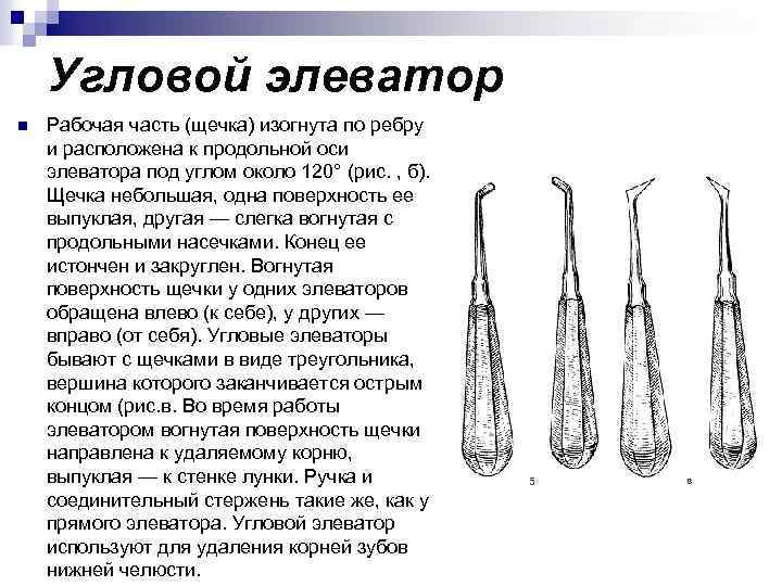 Угловой элеватор n Рабочая часть (щечка) изогнута по ребру и расположена к продольной оси