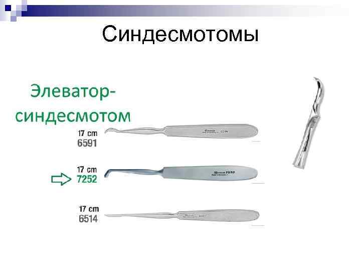 Синдесмотомы 