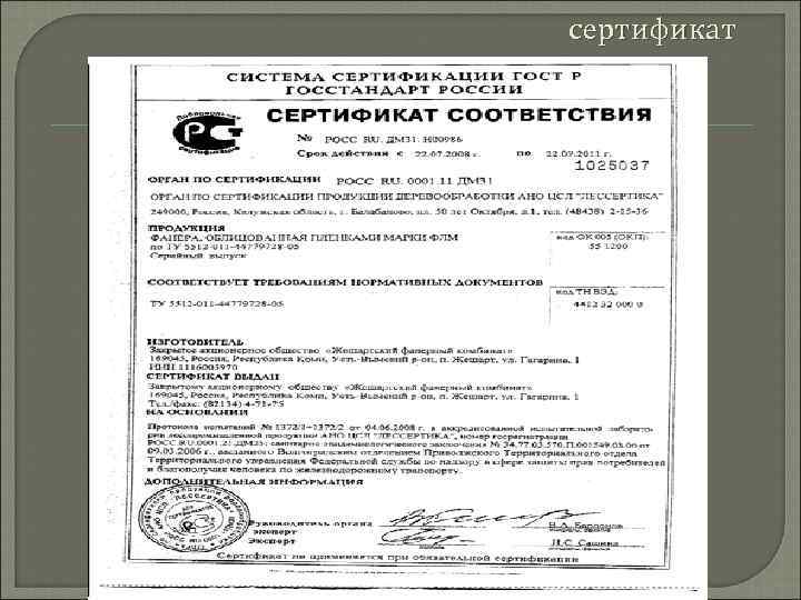 сертификат 