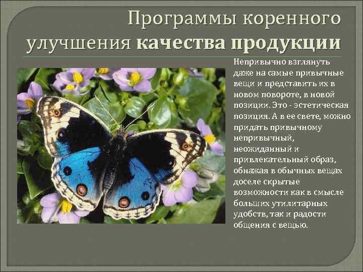 Программы коренного улучшения качества продукции Непривычно взглянуть даже на самые привычные вещи и представить