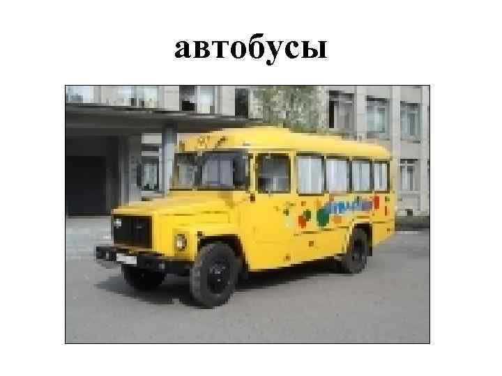 автобусы 
