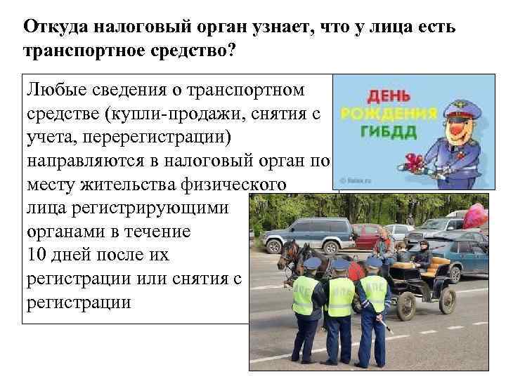 Откуда налоговый орган узнает, что у лица есть транспортное средство? Любые сведения о транспортном
