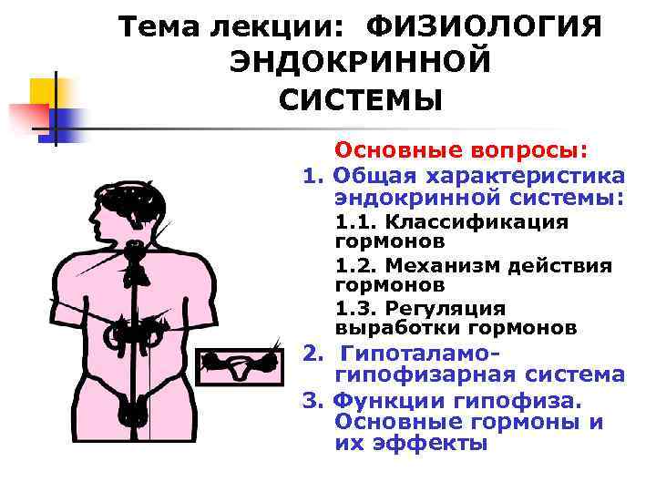 Тема лекции: ФИЗИОЛОГИЯ ЭНДОКРИННОЙ СИСТЕМЫ Основные вопросы: 1. Общая характеристика эндокринной системы: 1. 1.