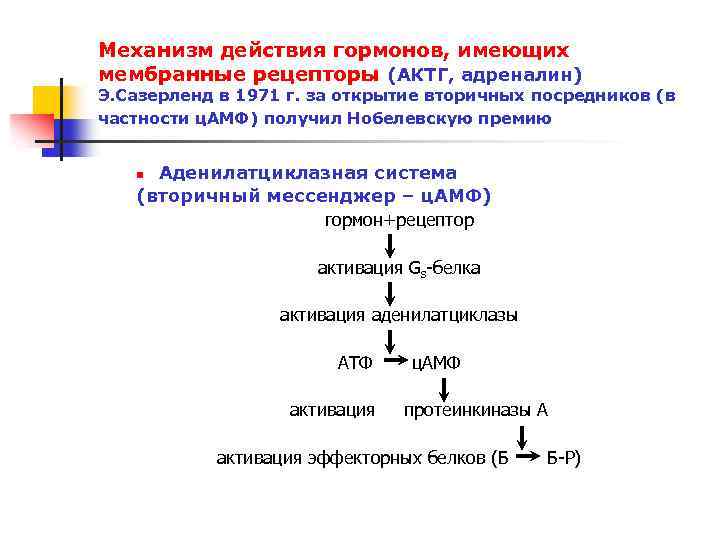 Механизм действия гормонов, имеющих мембранные рецепторы (АКТГ, адреналин) Э. Сазерленд в 1971 г. за